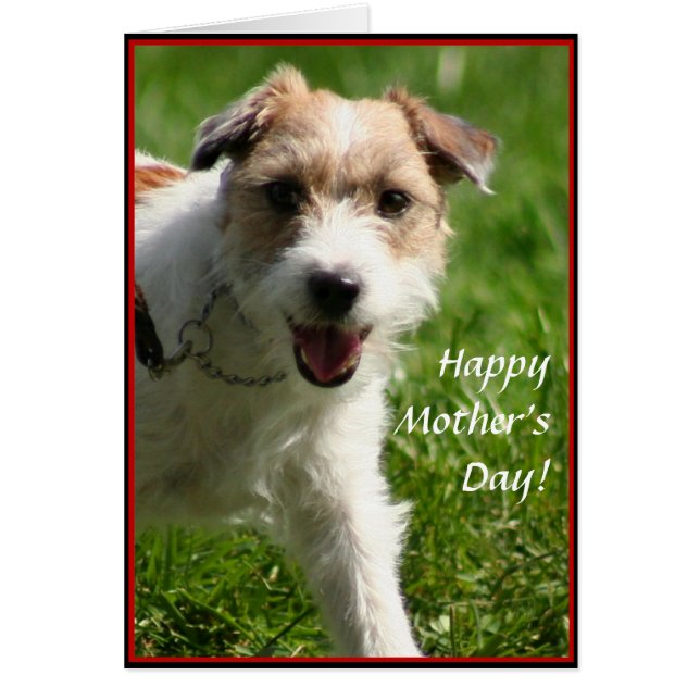 Happy Mother's Day Jack Russell Terrier Karte (Vorne)