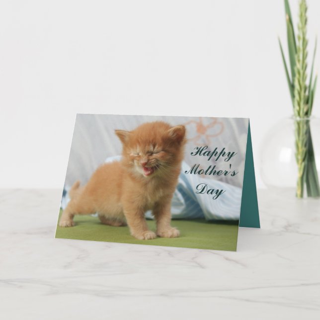 Happy Mother's Day Kitten Karte (Vorderseite)