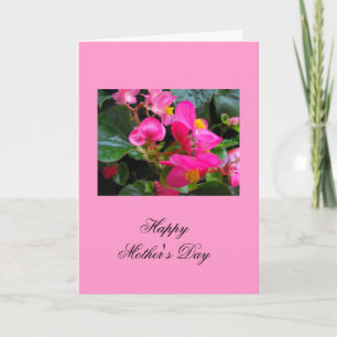 Happy Mother's Day Rosa Begonia Blume Karte