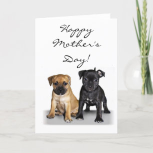 Happy Mother's Day Staffie Welpen Grußkarte Karte