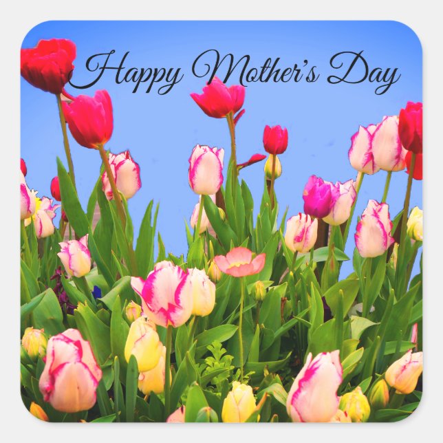 Happy Mother's Day Verschiedene Tulpen #3 Stickers (Vorderseite)