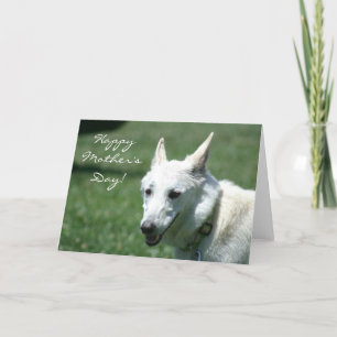 Happy Mother's Day White German Shepherd Card Karte