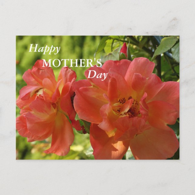 Happy Mutter Tag Rose Postkarte (Vorderseite)