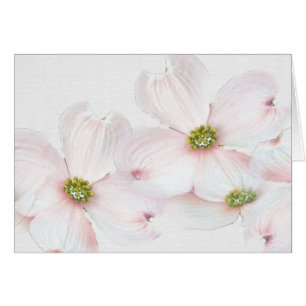Happy Name Day Crabaple Blüten