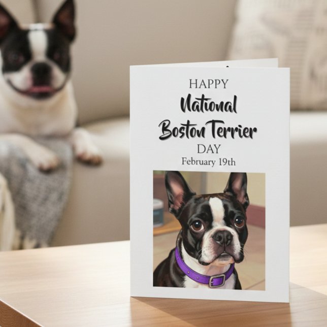Happy National Boston Terrier Day | Feb 19th Karte (Von Creator hochgeladen)