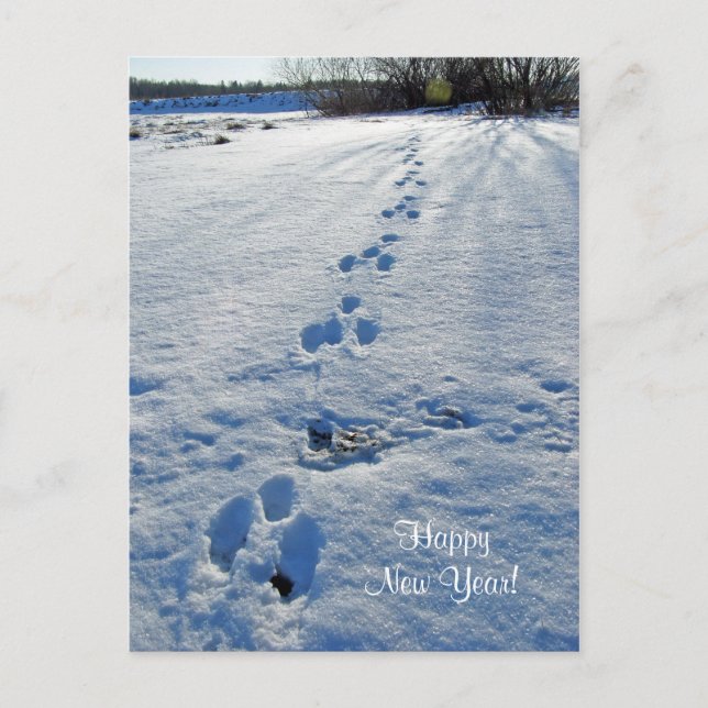 Happy New Year Postcard Feiertagspostkarte (Vorderseite)