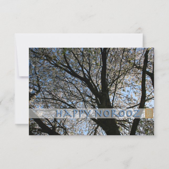 Happy Noroz Cherry Blossom Baum Einladung (Vorderseite)