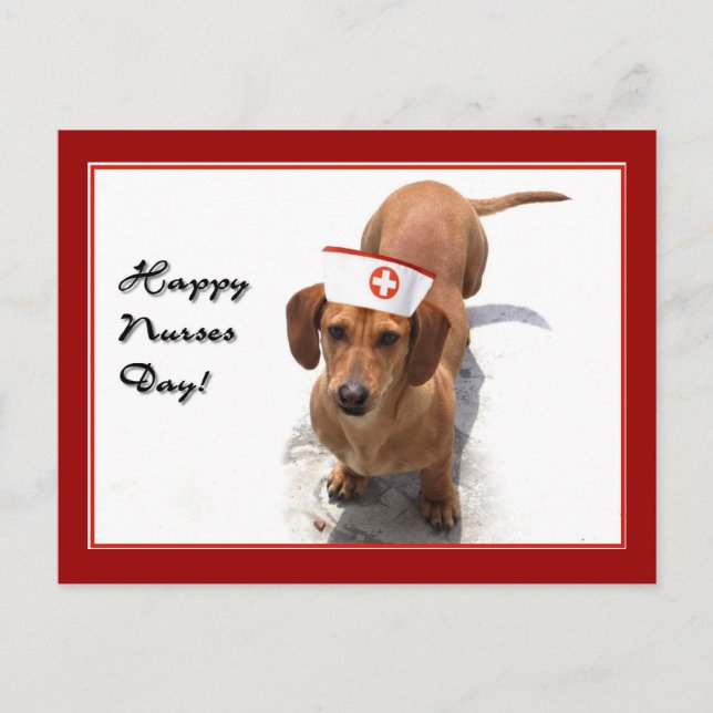 Happy Nurses Day Dackel Postkarte (Vorderseite)