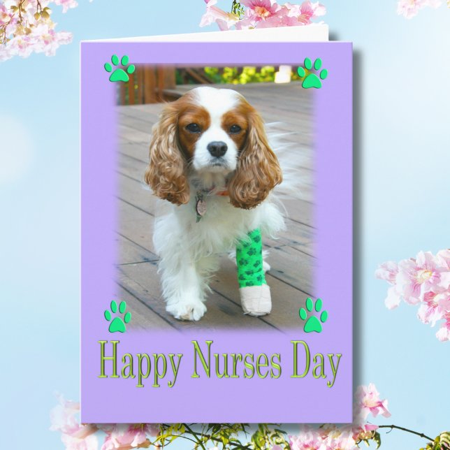 Happy Nurses Day mit Spaniels verbannt Fuß Karte (Von Creator hochgeladen)
