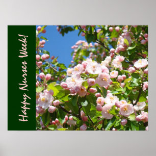 Happy Nurses Week: Kunstdrucke Nursing Danke Poster