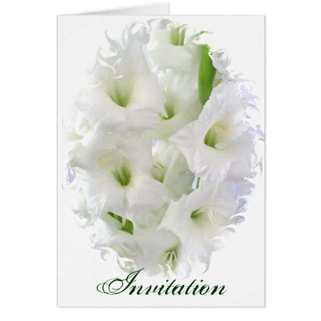 Happy Oaster_ (Vorne)