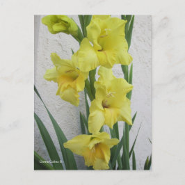 Happy Oaster Blume Postkarte
