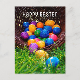 Happy Oaster Colorful Eggs Foto Postkarte