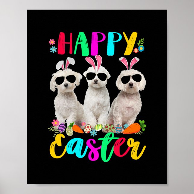 Happy Oaster Drei maltesische sonnige Ohren Poster (Vorne)