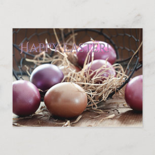 Happy Oaster Egg Hunt Postkarte
