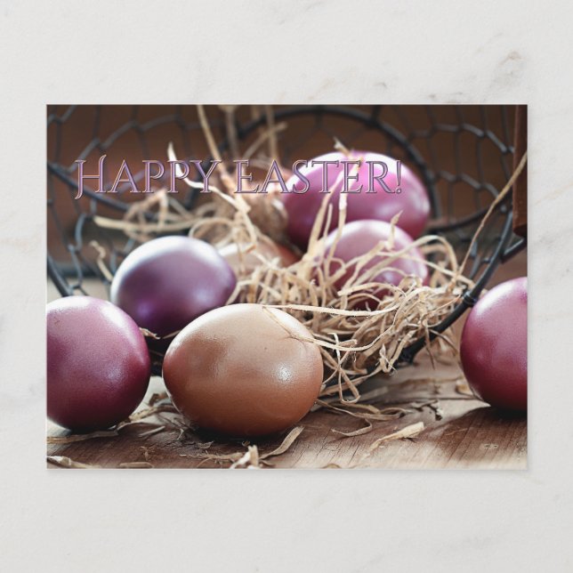Happy Oaster Egg Hunt Postkarte (Vorderseite)