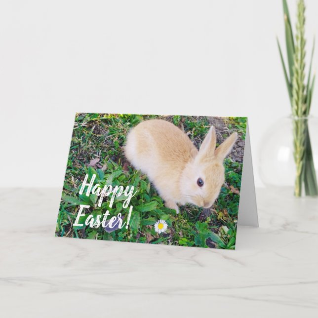 Happy Oaster Feiertagskarte (Vorderseite)