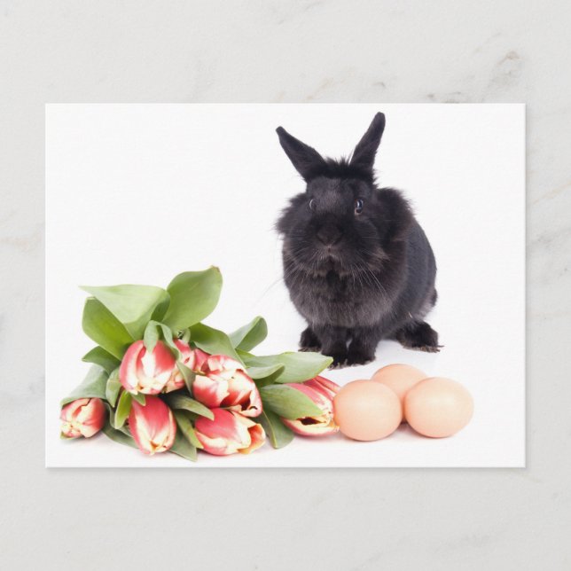 Happy Oaster Feiertagspostkarte (Vorderseite)