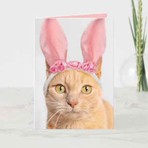 Happy Oaster for any Orange Tabby Cat in Bunny Feiertagskarte