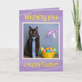 Happy Oaster für alle Niedlichen Katzen in der Kra Feiertagskarte