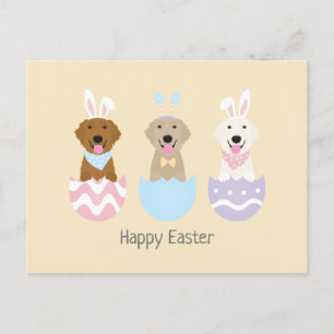Happy Oaster Golden Retriever Hunde Postkarte