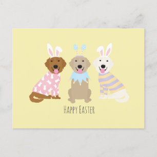 Happy Oaster Golden Retriever Hunde Postkarte