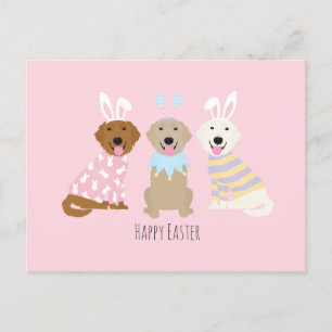Happy Oaster Golden Retriever Hunde Postkarte