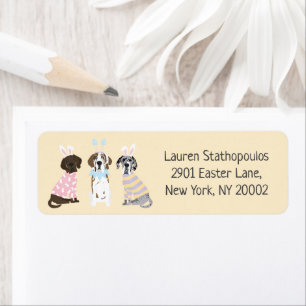 Happy Oaster Great Dane Hunde