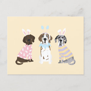 Happy Oaster Great Dane Hunde Postkarte