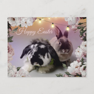 Happy Oaster Postkarte