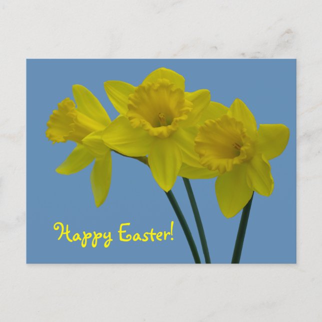 "Happy Oaster" Postkarte (Vorderseite)