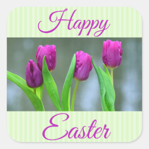 Happy Oaster Purple Tulips Stickers
