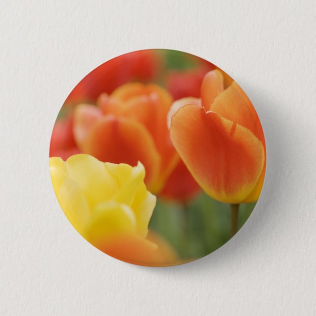 Happy Oaster Tulips Button (Vorderseite)