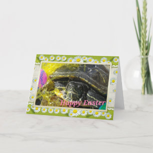 Happy Oaster Turtle Feiertagskarte