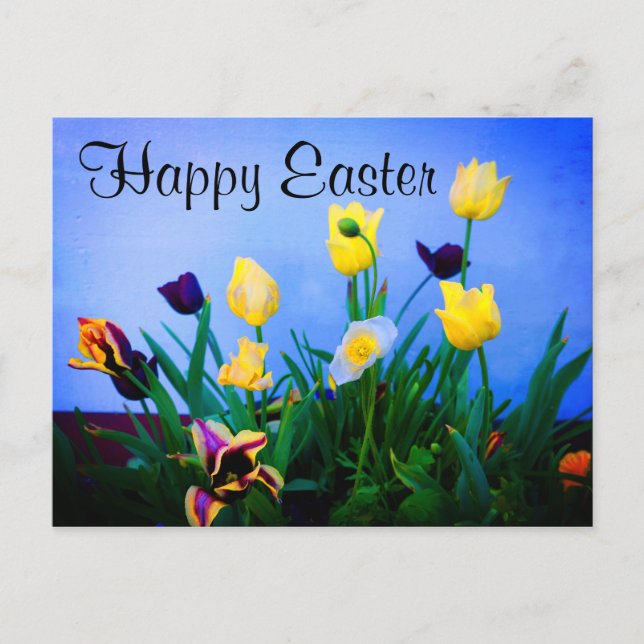 Happy Oaster Verschiedene Tulpen #2 Postkarte (Vorderseite)