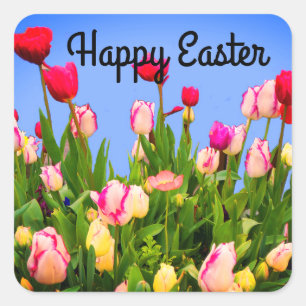 Happy Oaster Verschiedene Tulpen #3 Stickers