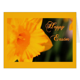 Happy Oaster Yellow Spring Daffodie Blume