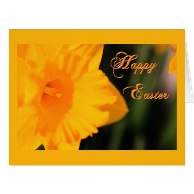 Happy Oaster Yellow Spring Daffodie Blume (Vorderseite (Horizontal))
