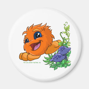 Happy orange JubJub in Neopia Central Magnet