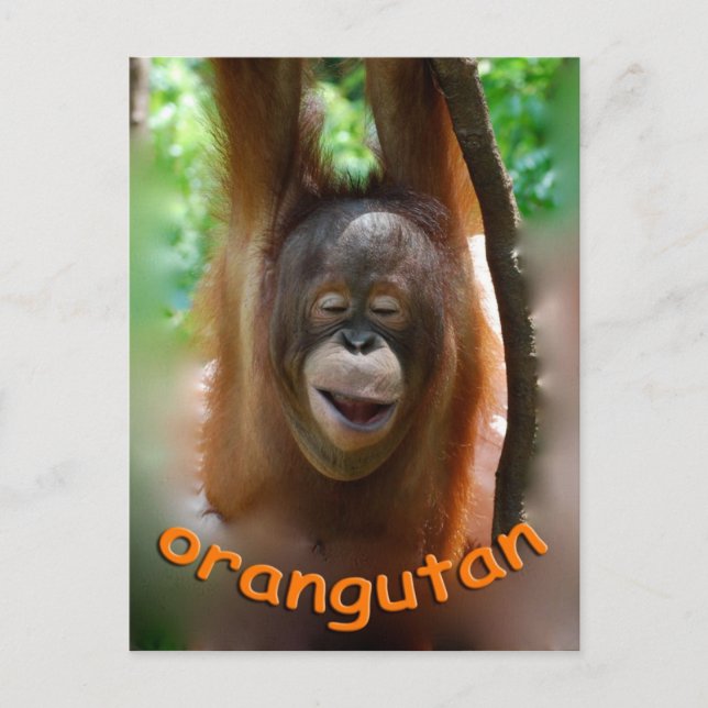 Happy Orangutan Postkarte (Vorderseite)