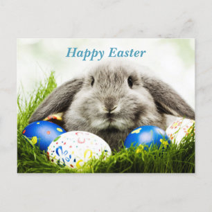 Happy Osterkaninchen Ankündigungspostkarte