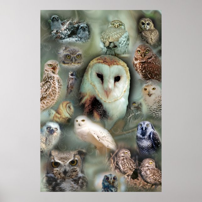 Happy Owls Plakatdruck Poster (Vorne)