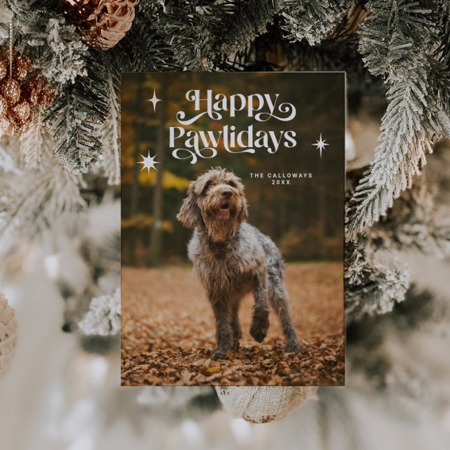 Happy Pawlidays Dog Foto Weihnachten (Von Creator hochgeladen)
