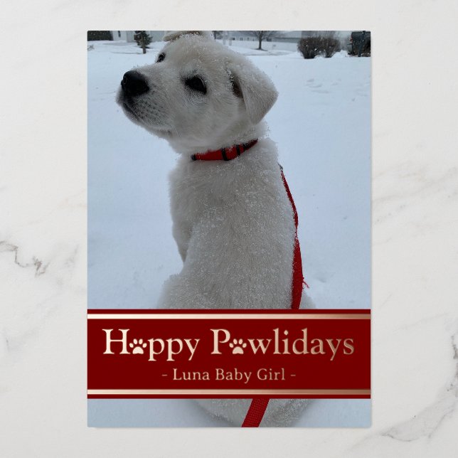 Happy Pawlidays Folien Feiertagskarte (Vorderseite)