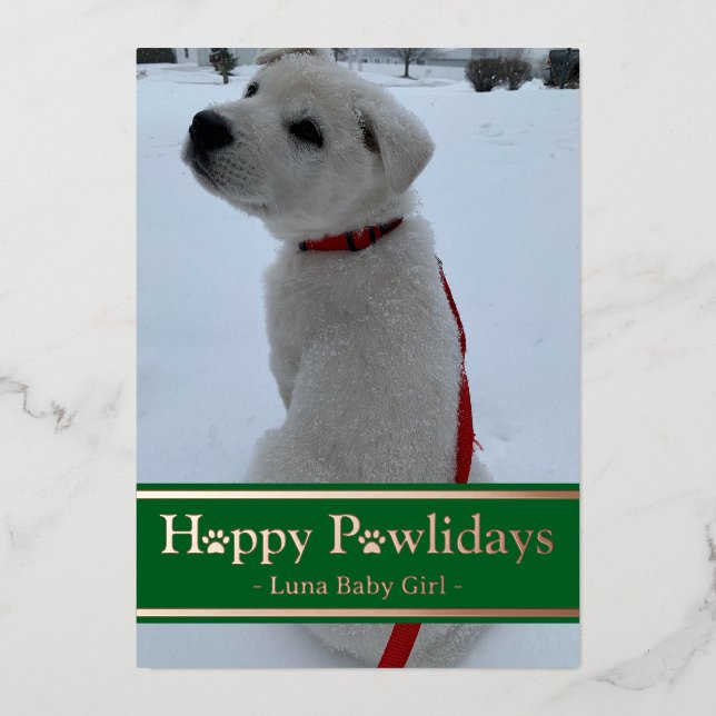 Happy Pawlidays Folien Feiertagskarte (Vorderseite)