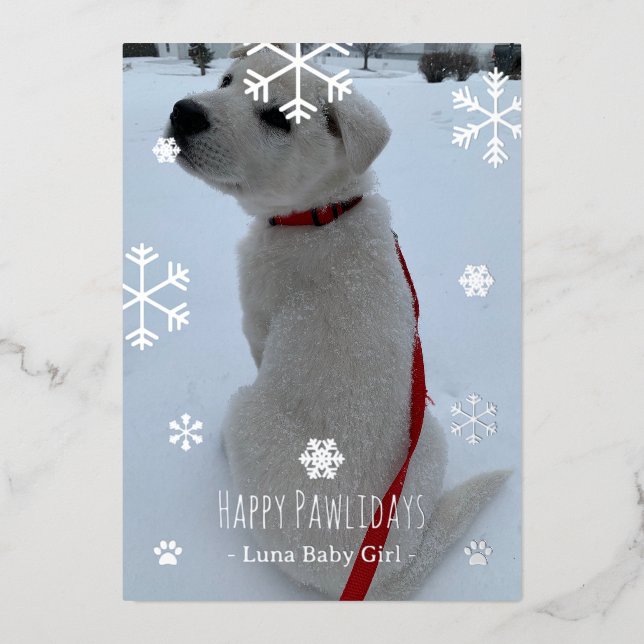 Happy Pawlidays Folien Feiertagskarte (Vorderseite)