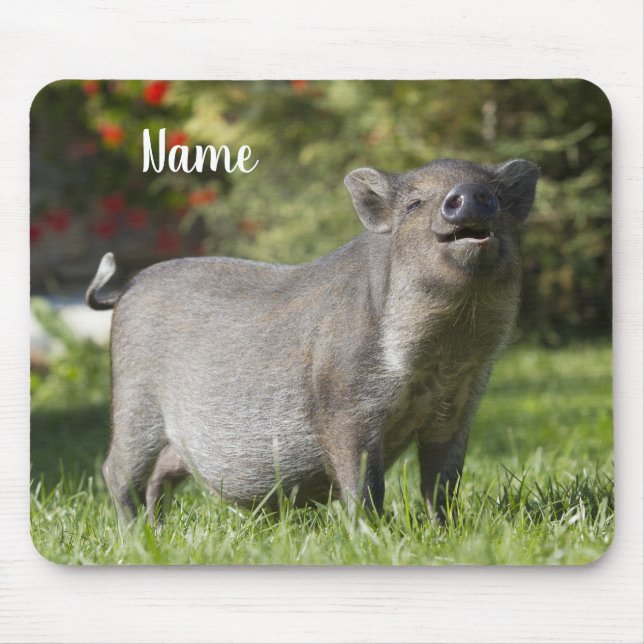 Happy Pet Mini Pot Bely Pig Mousepad (Vorne)