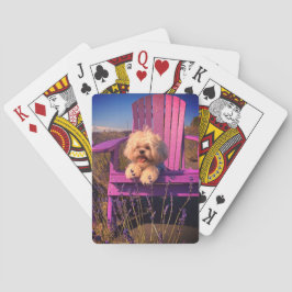 Happy Playful Shih Tzu Puppy, Dog Relaxing Spielkarten