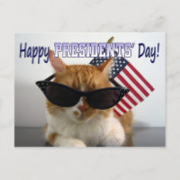 Happy President' Day Cool Cat with Flag Postcard