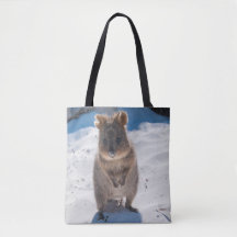 Happy Quokka am Strand Australien